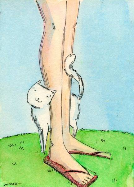 Кошка, обтирающаяся об ноги девушки