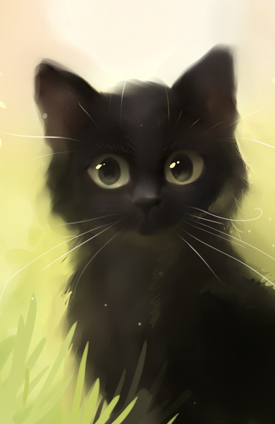 Черный котенок с блестящими глазами
