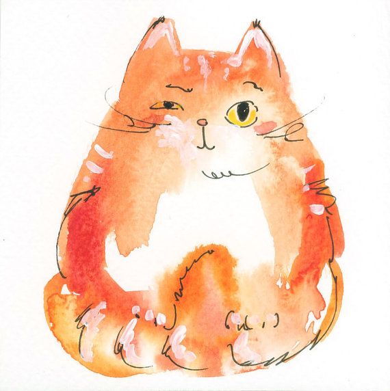 Рыжий толстый и смешной кот