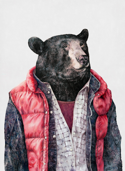 Медведь в одежде