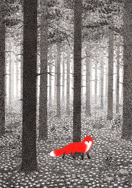 Рыжая лисица в черно-белом лесу