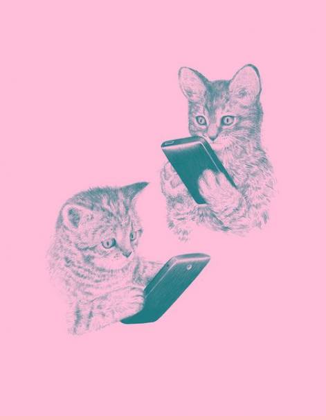 Котики с айфонами