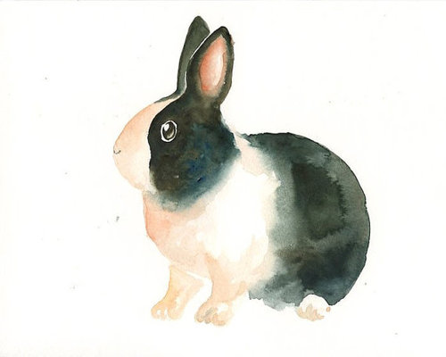 Черно-белый кролик