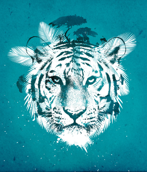 Тигр на голубом фоне