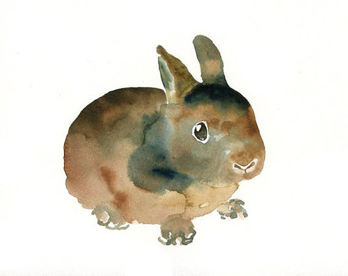 Серо-коричневый кролик