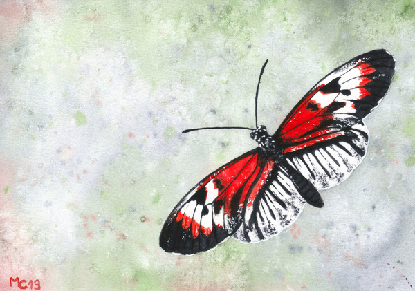 Летящая красно-белая бабочка